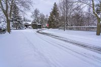 A Gloomy Winter Day in Toronto's Residential Area