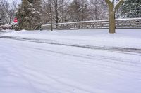 A Gloomy Winter Day in Toronto's Residential Area