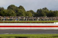 a race track with tire treads on grass and a fence around it to provide shade