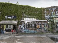 a graffiti covered building in front of some water and green leaves on it's walls