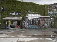 a graffiti covered building in front of some water and green leaves on it's walls