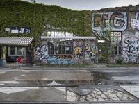 a graffiti covered building in front of some water and green leaves on it's walls