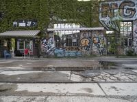 a graffiti covered building in front of some water and green leaves on it's walls