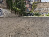 the black writing on the wall is graffiti covered with trees and rocks with houses in the background