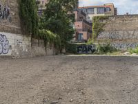 the black writing on the wall is graffiti covered with trees and rocks with houses in the background