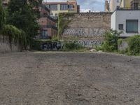 the black writing on the wall is graffiti covered with trees and rocks with houses in the background
