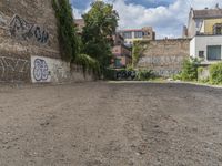 the black writing on the wall is graffiti covered with trees and rocks with houses in the background