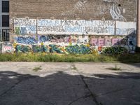 graffiti covers a wall of vacant land with a fire hydrant and green grass near by