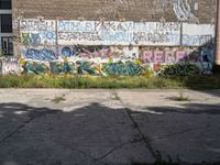 graffiti covers a wall of vacant land with a fire hydrant and green grass near by