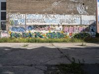 graffiti covers a wall of vacant land with a fire hydrant and green grass near by