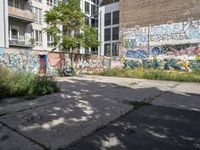 a graffiti wall next to an empty urban street with no traffic signs on it and trees in the background