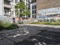 a graffiti wall next to an empty urban street with no traffic signs on it and trees in the background