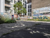 a graffiti wall next to an empty urban street with no traffic signs on it and trees in the background