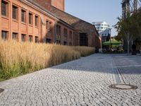 Grass Building Home in Berlin Neighborhood