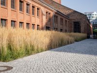 Grass Building Home in Berlin Neighborhood