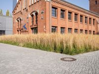 Grass Building Home in Berlin Neighborhood
