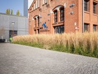 Grass Building Home in Berlin Neighborhood