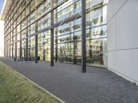 the building has glass walls and a sidewalk with green grass in it outside of it