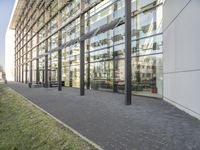 the building has glass walls and a sidewalk with green grass in it outside of it