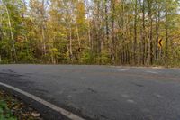 a curve in the road is a warning sign and has lots of trees and yellow leaves on it