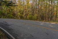 a curve in the road is a warning sign and has lots of trees and yellow leaves on it