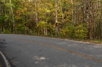 a curve in the road is a warning sign and has lots of trees and yellow leaves on it