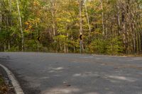 a curve in the road is a warning sign and has lots of trees and yellow leaves on it