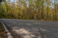 a curve in the road is a warning sign and has lots of trees and yellow leaves on it