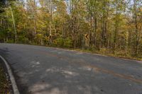 a curve in the road is a warning sign and has lots of trees and yellow leaves on it