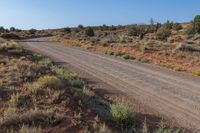 Grass-Covered Plain: Elevated Vegetation