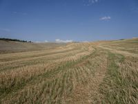 a field with dirt and grass and some clouds in the background, with blue sky above