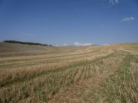 a field with dirt and grass and some clouds in the background, with blue sky above