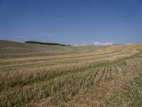 a field with dirt and grass and some clouds in the background, with blue sky above