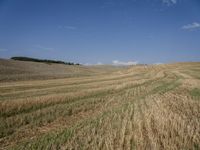 a field with dirt and grass and some clouds in the background, with blue sky above