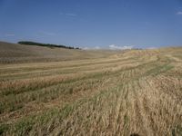 a field with dirt and grass and some clouds in the background, with blue sky above