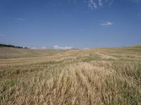 a field with dirt and grass and some clouds in the background, with blue sky above