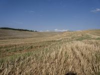 a field with dirt and grass and some clouds in the background, with blue sky above