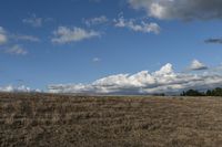 Grass landscape in a rural field