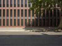 Grass Lined Road in Berlin: Casting a Shadow