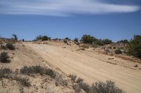 Grassy Road Through Utah's Desert Landscape