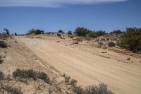 Grassy Road Through Utah's Desert Landscape