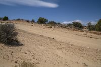 Grassy Road Through Utah's Desert Landscape