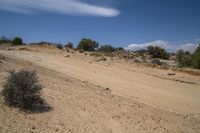 Grassy Road Through Utah's Desert Landscape