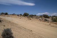 Grassy Road Through Utah's Desert Landscape