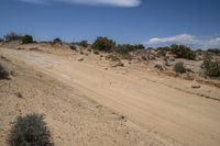 Grassy Road Through Utah's Desert Landscape