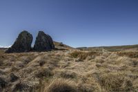 a field with rocks, grass and sky in the background to demonstrate something interesting is an area full of rocks