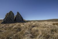 a field with rocks, grass and sky in the background to demonstrate something interesting is an area full of rocks