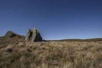 an image of a beautiful grassy landscape with rocks in it and a blue sky in the background