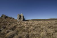 an image of a beautiful grassy landscape with rocks in it and a blue sky in the background