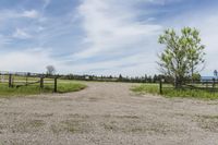 Grass Surface on a Property in Canada